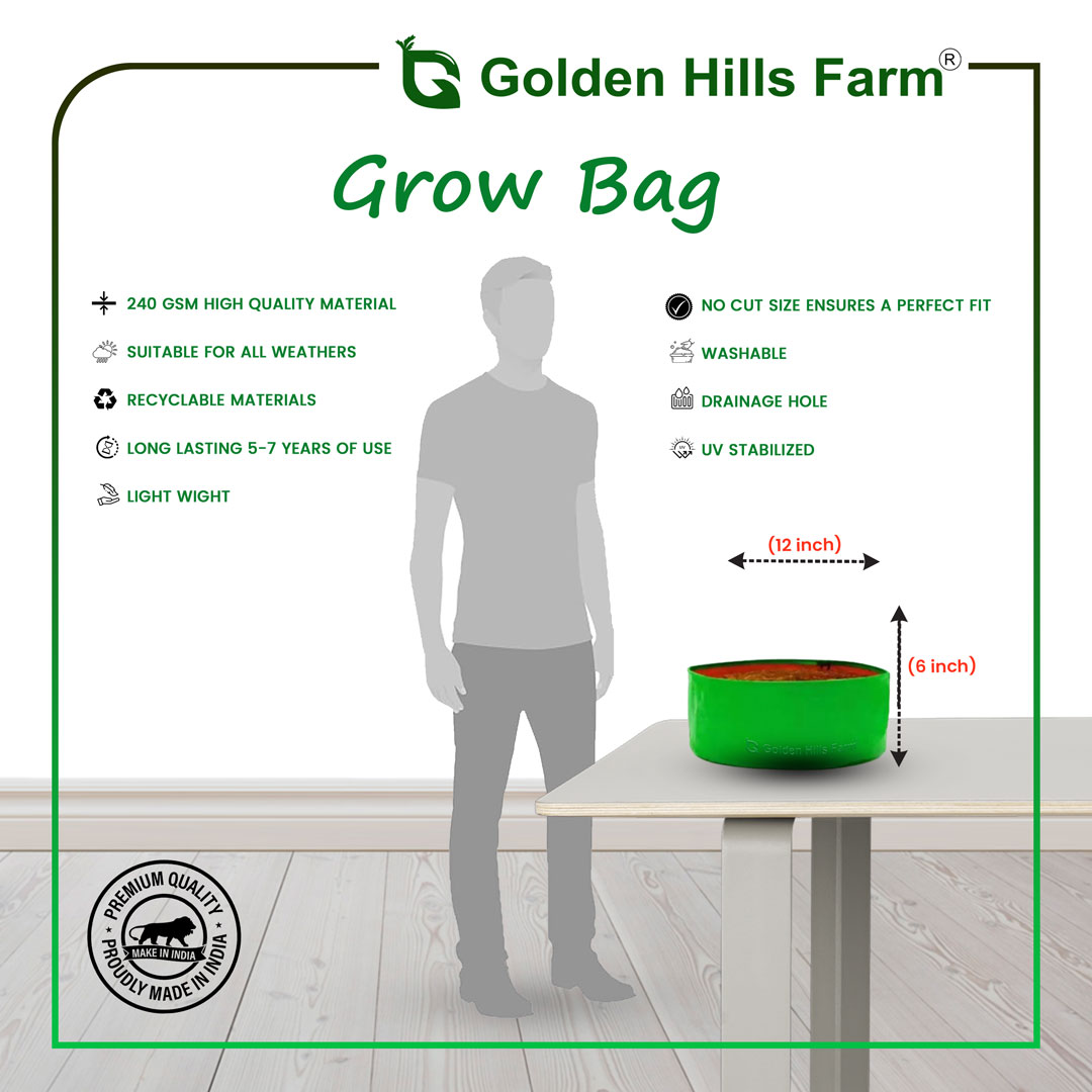 12x6 HDPE Grow Bag