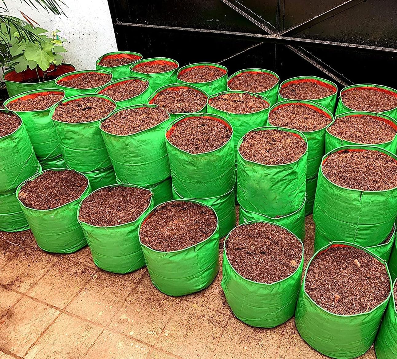 12x12 grow bags