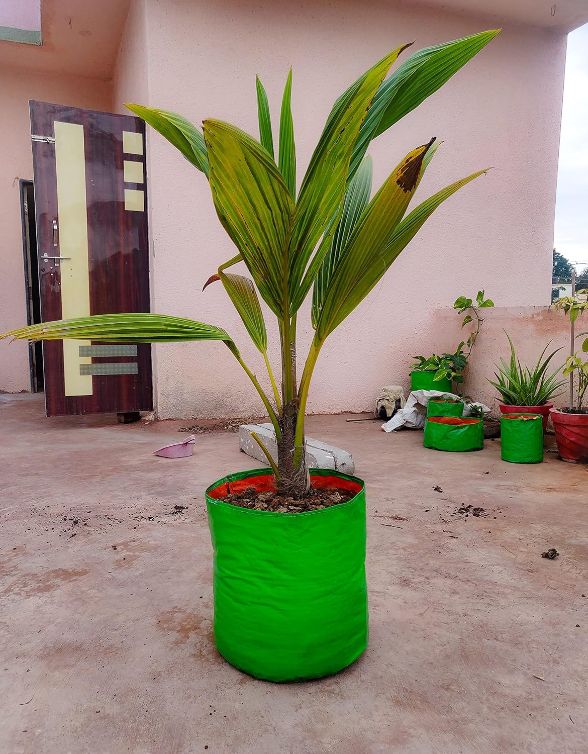 15x18 Hdpe Grow Bag