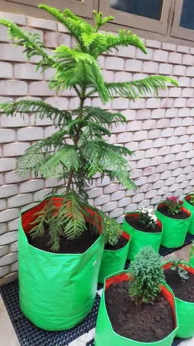 15x18 Hdpe Grow Bag