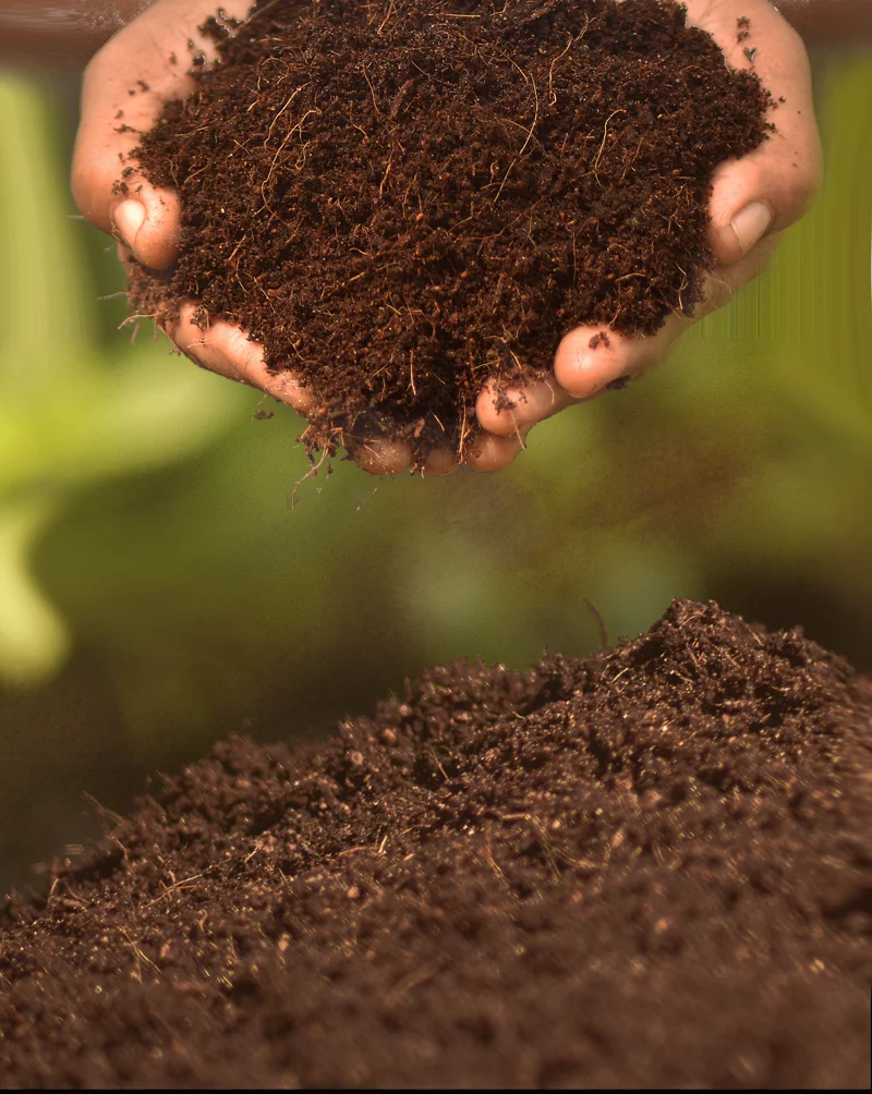 Cocopeat Compost