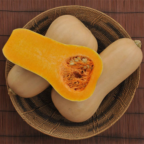 Butternut Squash Golden Hybrid F1 Seeds