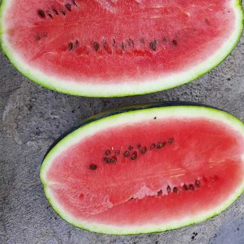 Watermelon Black Oblong Hybrid F1 Seeds