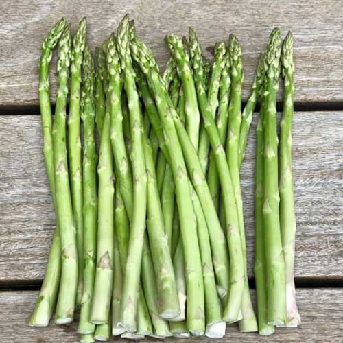 Asparagus Seeds