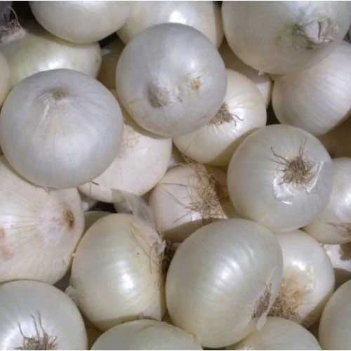 Onion White Seeds