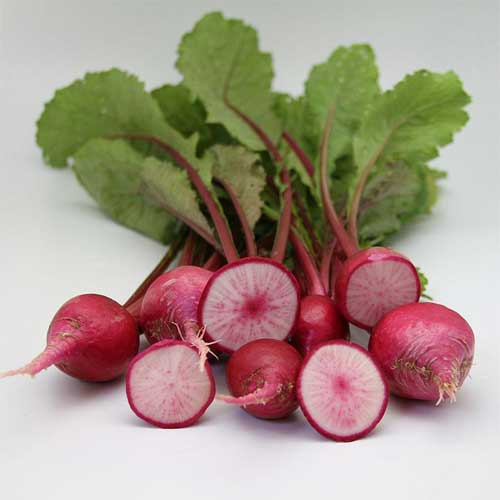 Turnip Red Seeds