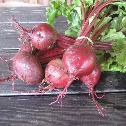 Beet Root Red Ruby Seeds