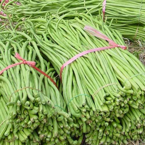 Yard Long Beans Green String Seeds