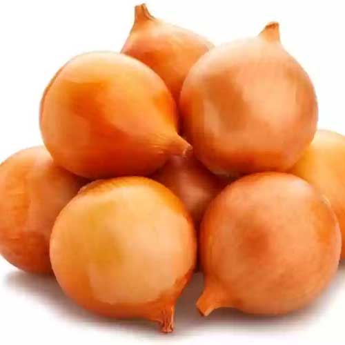 Onion Light Red Seeds