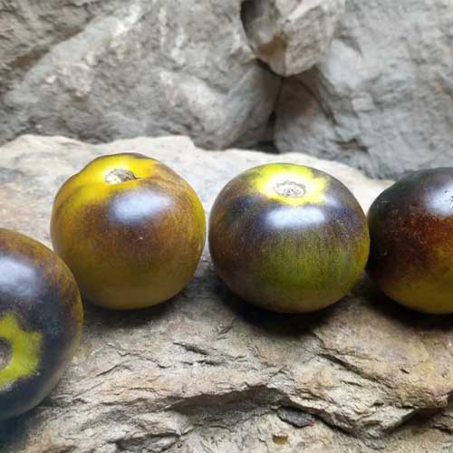 Tomato Blue Green Seeds