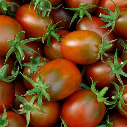 Tomato Black Plum Seeds