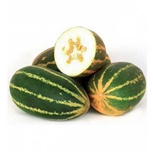 Sambar Cucumber Yellow Hybrid F1 Seeds