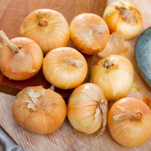 Onion Yellow Pearl Seeds