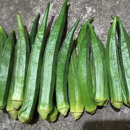 Ladies Finger Summer Beauty Okra Bhindi Seeds