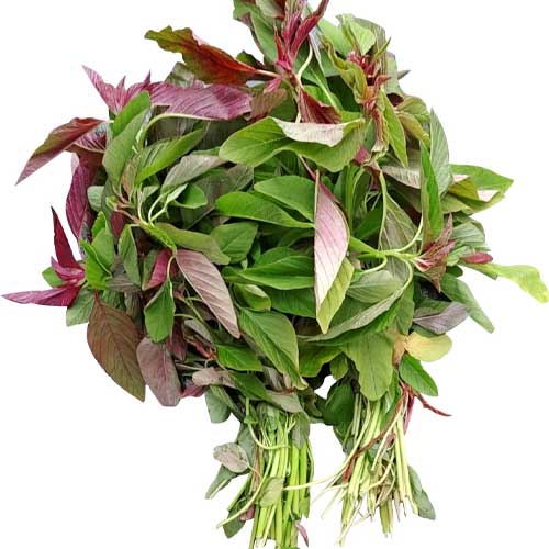 Amaranthus Purple Green Leaf Seeds