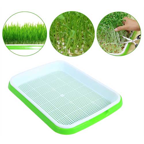 Microgreens Growing Trays Sprouter Tray 