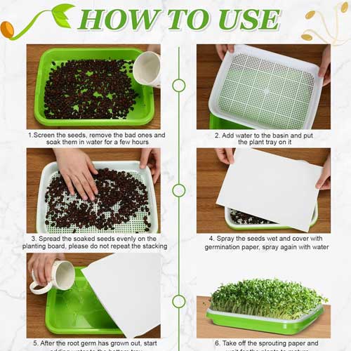 Microgreens Growing Trays Sprouter Tray 