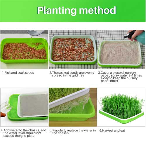 Microgreens Growing Trays Sprouter Tray 