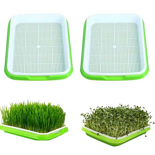 Microgreens Growing Trays Sprouter Tray 