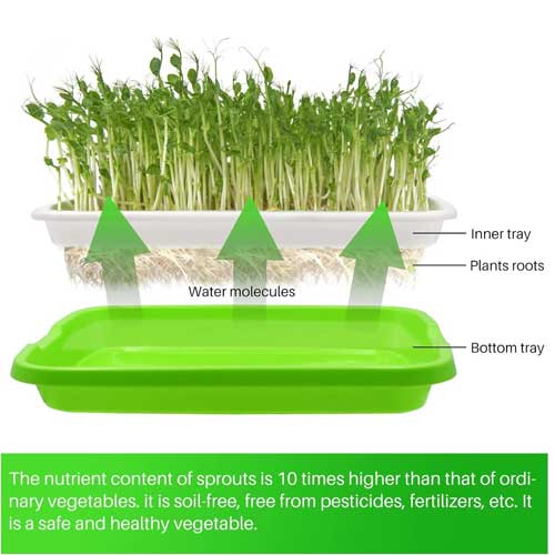 Microgreens Growing Trays Sprouter Tray 