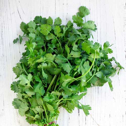 Coriander K5 Baramasi Dhaniya Seeds