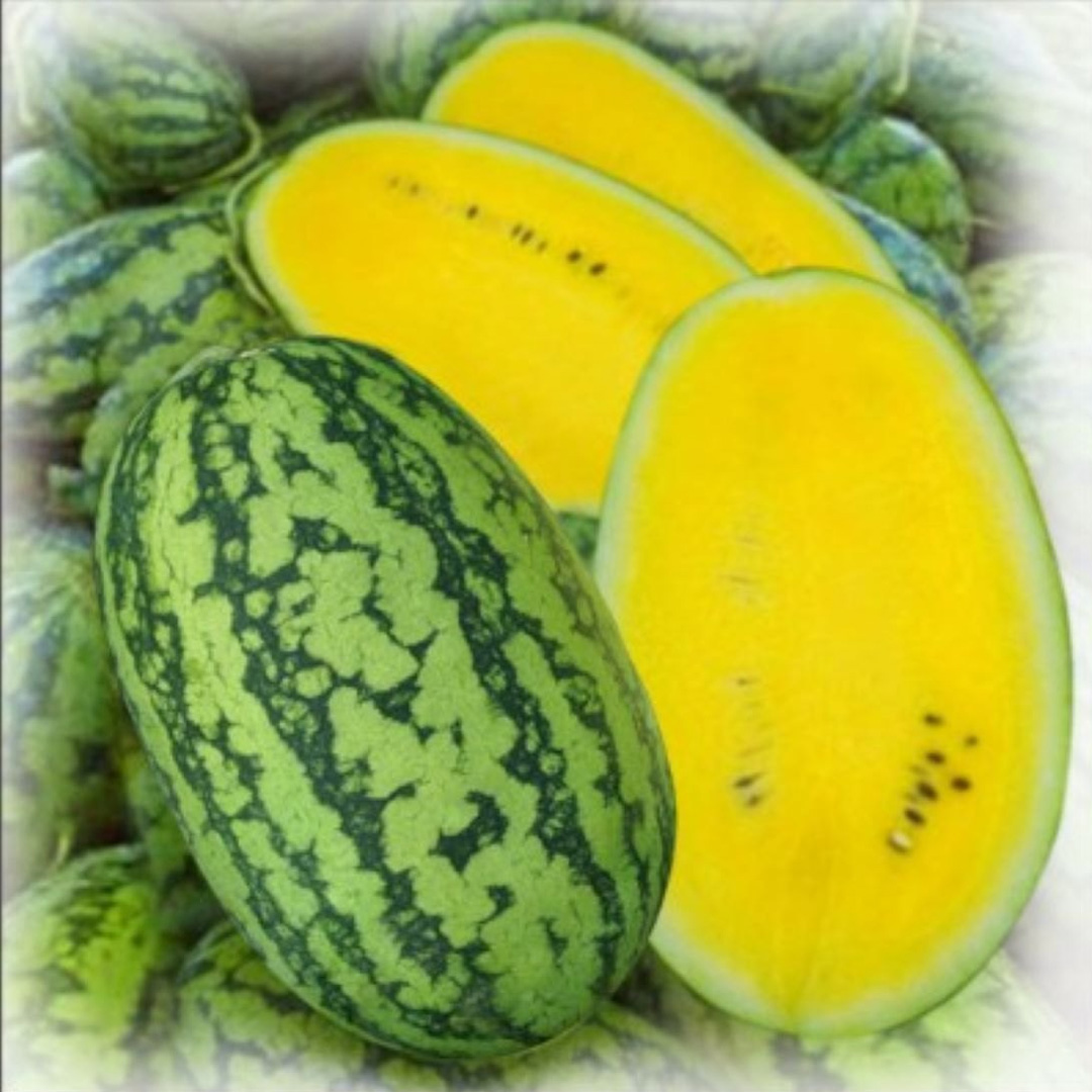Watermelon Yellow Striped Hybrid F1 Seeds