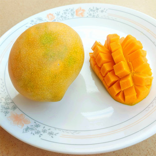 Kalapadi Mango Grafted Live Plant
