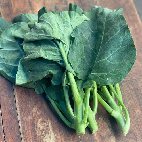 Spinach Kashmir Haak Saag Bathua Seeds