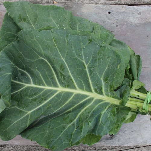Spinach Kashmir Haak Saag Bathua Seeds