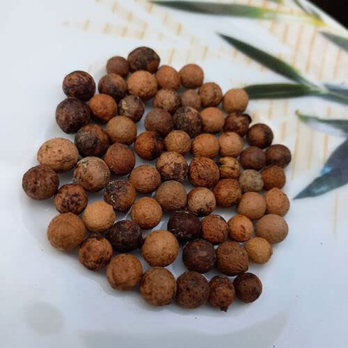 White Sandalwood Seeds