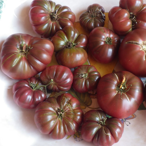 Black Krim Ribbed Beefsteak Tomato Seeds