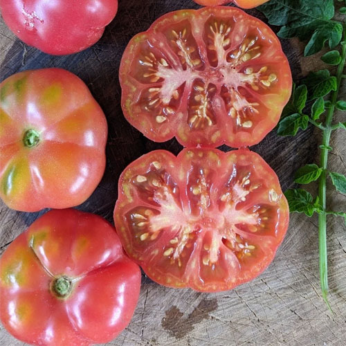 Polur Ribbed Tomato Seeds