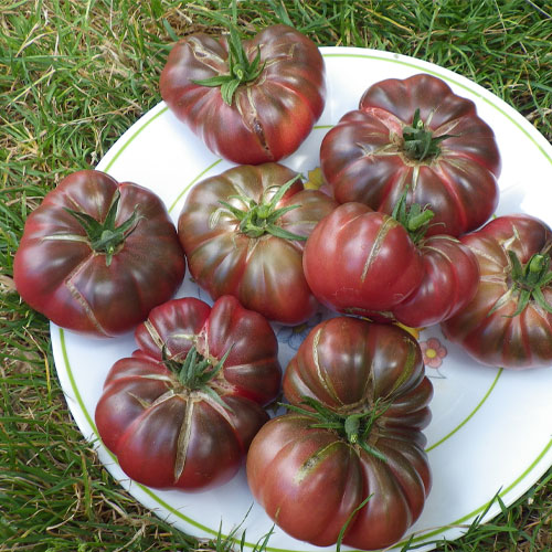 Black Krim Ribbed Beefsteak Tomato Seeds