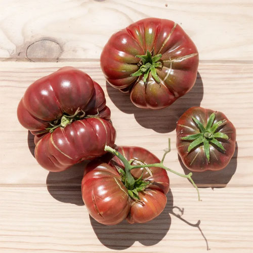Tomato Purple Calabash Seeds