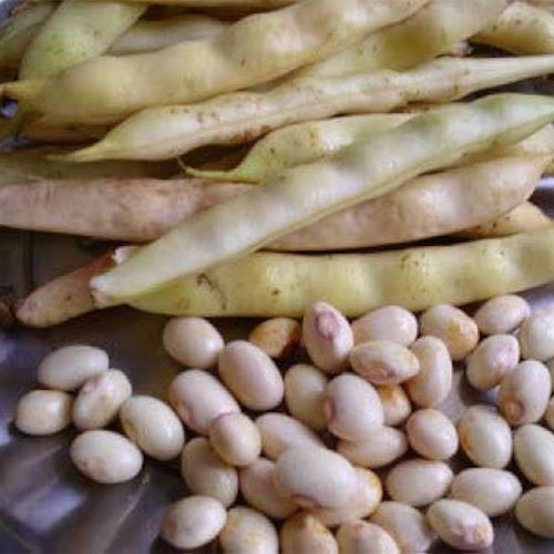 Butter Beans Seeds