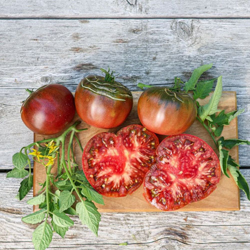 Cherokee Purple Tomato Seeds