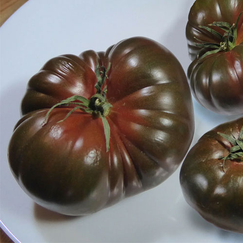 Black Beefsteak Tomato Seeds