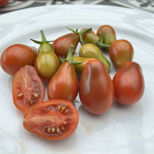 Chocolate Pear Tomato Seeds