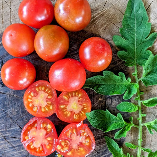 Tomato Red Large Cherry Seeds