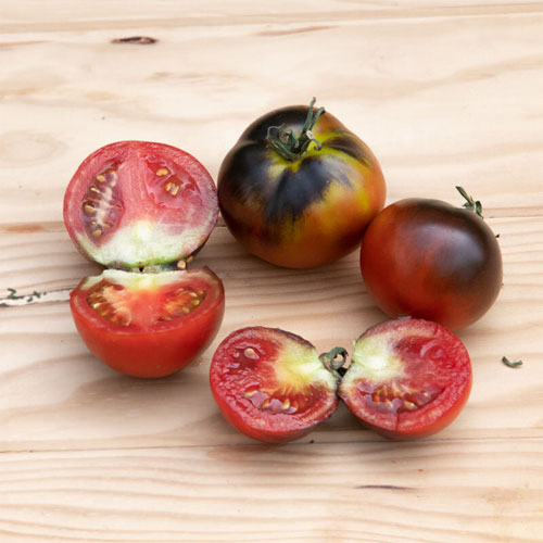 Black Shade Tomato Seeds