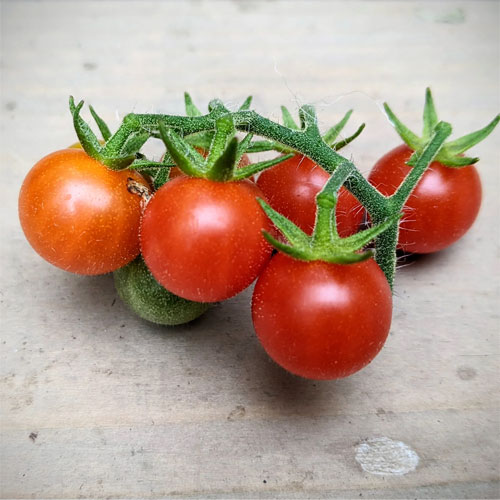 Red Currant Tomato Seeds