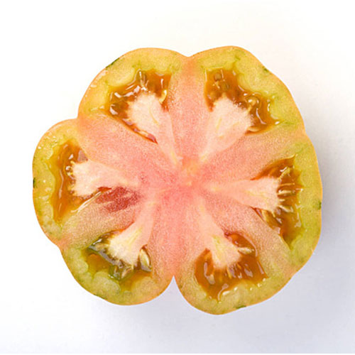 Red Stuffer Tomato Seeds