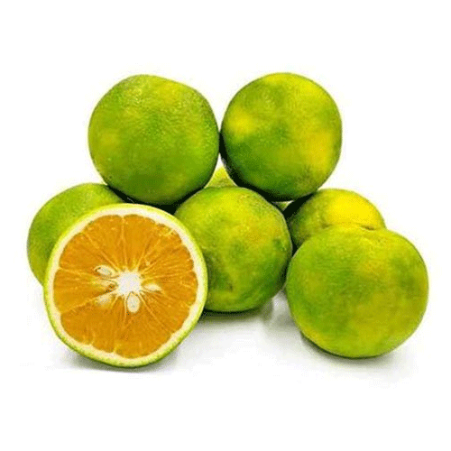 Bush Orange Chinese Orange Fruit Live Plant