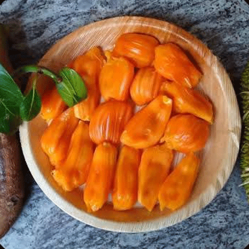 Jackfruit Siddhu Copper Red Budded Hybrid Fruit Live Plant